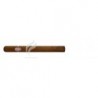 SANCHO PANZA-CORONAS GIGANTES-497