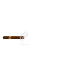 COHIBA_Short_(6297)