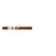 DAVIDOFF_SignatureNo2_SLB25_(6684)