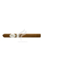 DAVIDOFF_SignatureNo2_(6684)