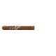 MONTECRISTO_Leyenda_B20_(7485)