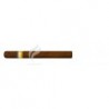 COHIBA-ESPLENDIDOS-19