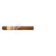 POR-LARRANAGA_GranRobusto_2017_PaisesBajos_(7966)