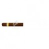 COHIBA-ROBUSTOS-30