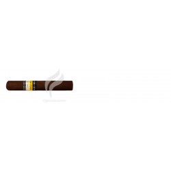 COHIBA-SECRETOS-33