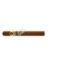 PADRON_1964Diplomatico_(9453)