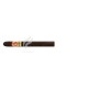 ARTURO-FUENTE_SpanishLonsdales_B24_(9477)