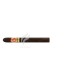 ARTURO-FUENTE_SpanishLonsdales_(9477)