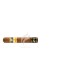 COHIBA_RobustosYearOfThePig8+8_LimitedEdition_B16_(8330)