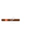 PARTAGAS_Capitols_P5-2020_(9545)