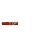 PATORO_Vintage_PetitRobusto_(9594)