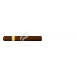 COHIBA-SIGLO IV-43