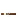 DAVIDOFF_WinstonChurchill_Toro_2021_(9766)