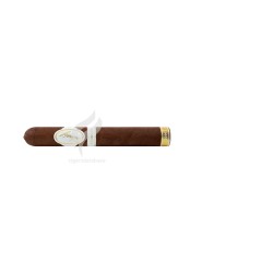 DAVIDOFF_Toro_2021_(9915)