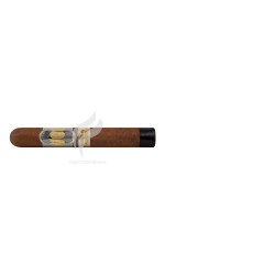 WORLD-OF-CIGARS_Toro_(9874)