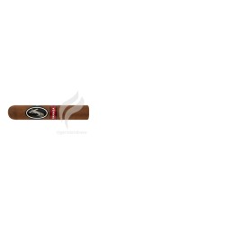 DAVIDOFF_YamasaPetitChurchill_(5562)
