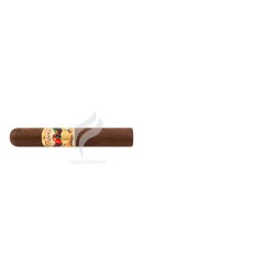 PARADISO_Clasico_(10036)