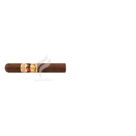 PARADISO_Clasico_(10036)