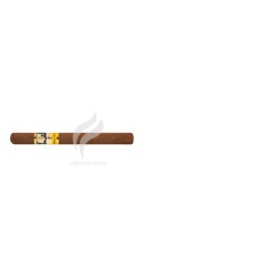 COHIBA-EXQUISITOS-21