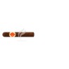 BONGANI_Robusto_(10287)