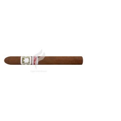 RAMON-ALLONES_40Carat_2020_PaisesBajos_(10340)