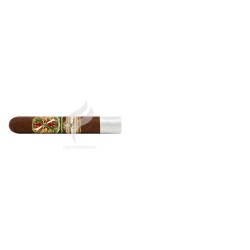 ARTURO-FUENTE_OpusX2020-ArenadAmor_(10492)