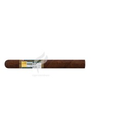 ALEC-BRADLEY_Fine&RareBC-134EV-2021_Churchill_(10584)