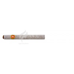 REY DEL MUNDO-CHOIX SUPREME-225