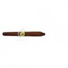 REY DEL MUNDO-CORONAS DE LUXE-491