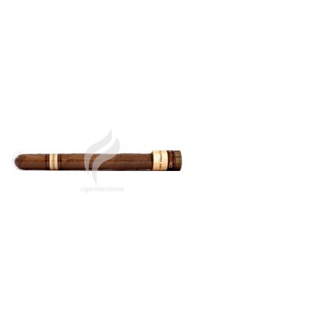 REY DEL MUNDO-DEMI TASSE-226