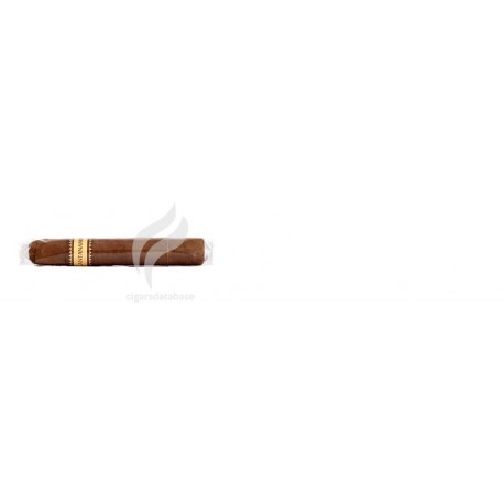 REY DEL MUNDO-ELEGANTES-775