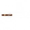 REY DEL MUNDO-ELEGANTES-775