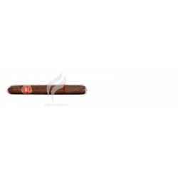 REY DEL MUNDO-ELEGANTES-775