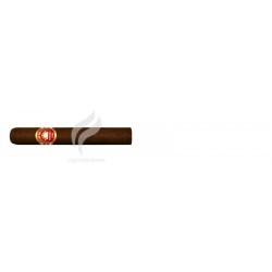 REY DEL MUNDO-GRAN CORONA-782