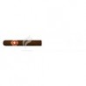 REY DEL MUNDO-GRAN CORONA-782