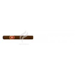 REY DEL MUNDO-INFANTES - 2013 - CUBA-2068