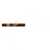 REY DEL MUNDO-LUNCH CLUB-493