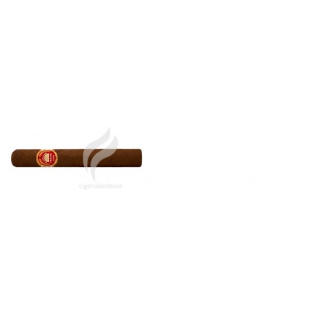 REY DEL MUNDO-PANETELAS LARGAS-783