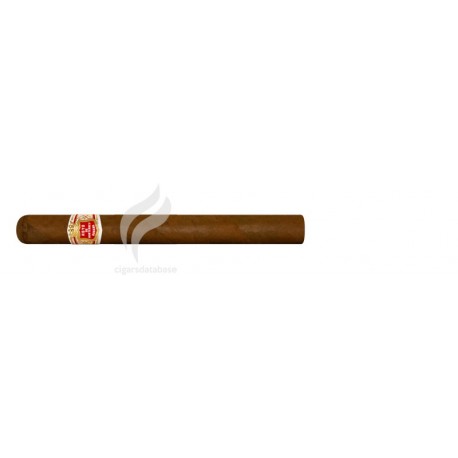 HOYO DE MONTERREY-CHURCHILLS-84