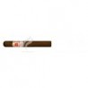 HOYO DE MONTERREY-DOUBLE EPICURE - 2010 (ONLY T. RETAIL)-1704