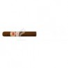 HOYO DE MONTERREY-EPICURE ESPECIAL-90