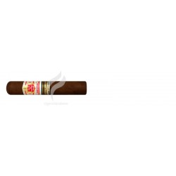 HOYO DE MONTERREY-GRAND EPICURE - 2013-2069