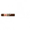 HOYO DE MONTERREY-GRAND EPICURE - 2013-2069