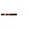 HOYO DE MONTERREY-LE HOYO DES DIEUX-100