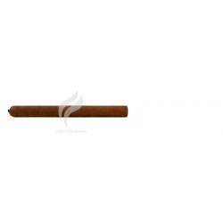 HOYO DE MONTERREY-LE HOYO DU DAUPHIN-448