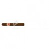 HOYO DE MONTERREY-LE HOYO DU PRINCE-104