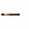 HOYO DE MONTERREY-LUSITANIAS HABANOS COLLECTION - 2003-926