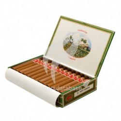 LA FLOR DE CANO-PETIT CORONAS-126