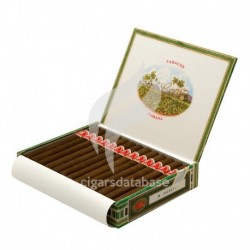 LA FLOR DE CANO-SELECTOS-127