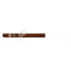 MONTECRISTO-D - 2005-890